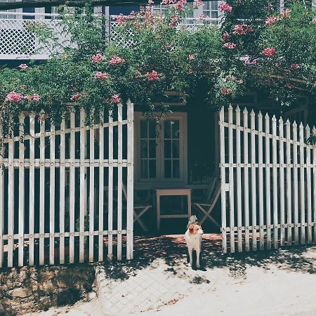 Nhà Tím Homestay Dalat Exteriér fotografie