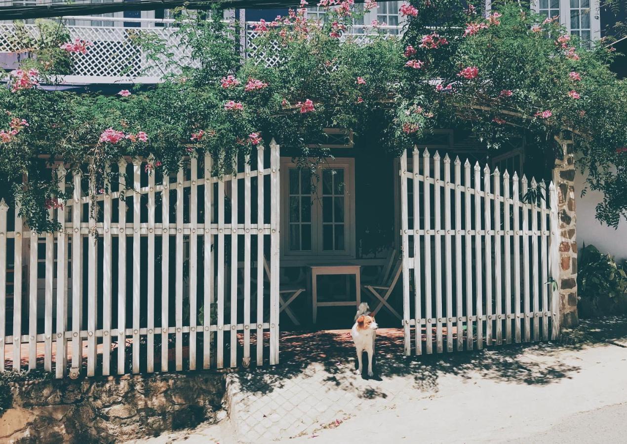 Nhà Tím Homestay Dalat Exteriér fotografie