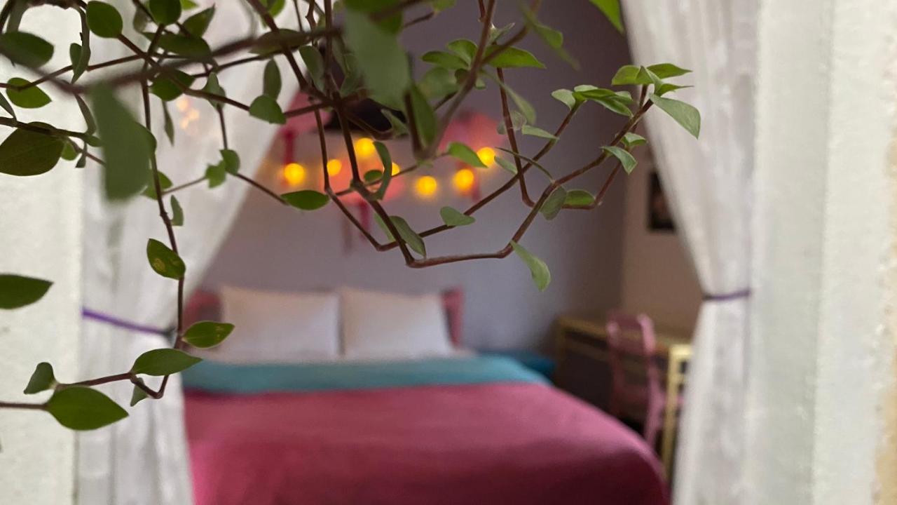 Nhà Tím Homestay Dalat Exteriér fotografie
